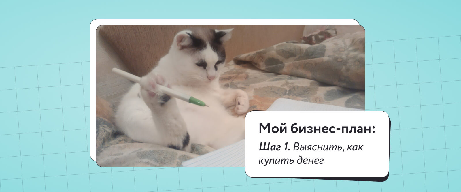 Образец бизнес плана для социального контракта самозанятого | Как оформить  социальный контракт?